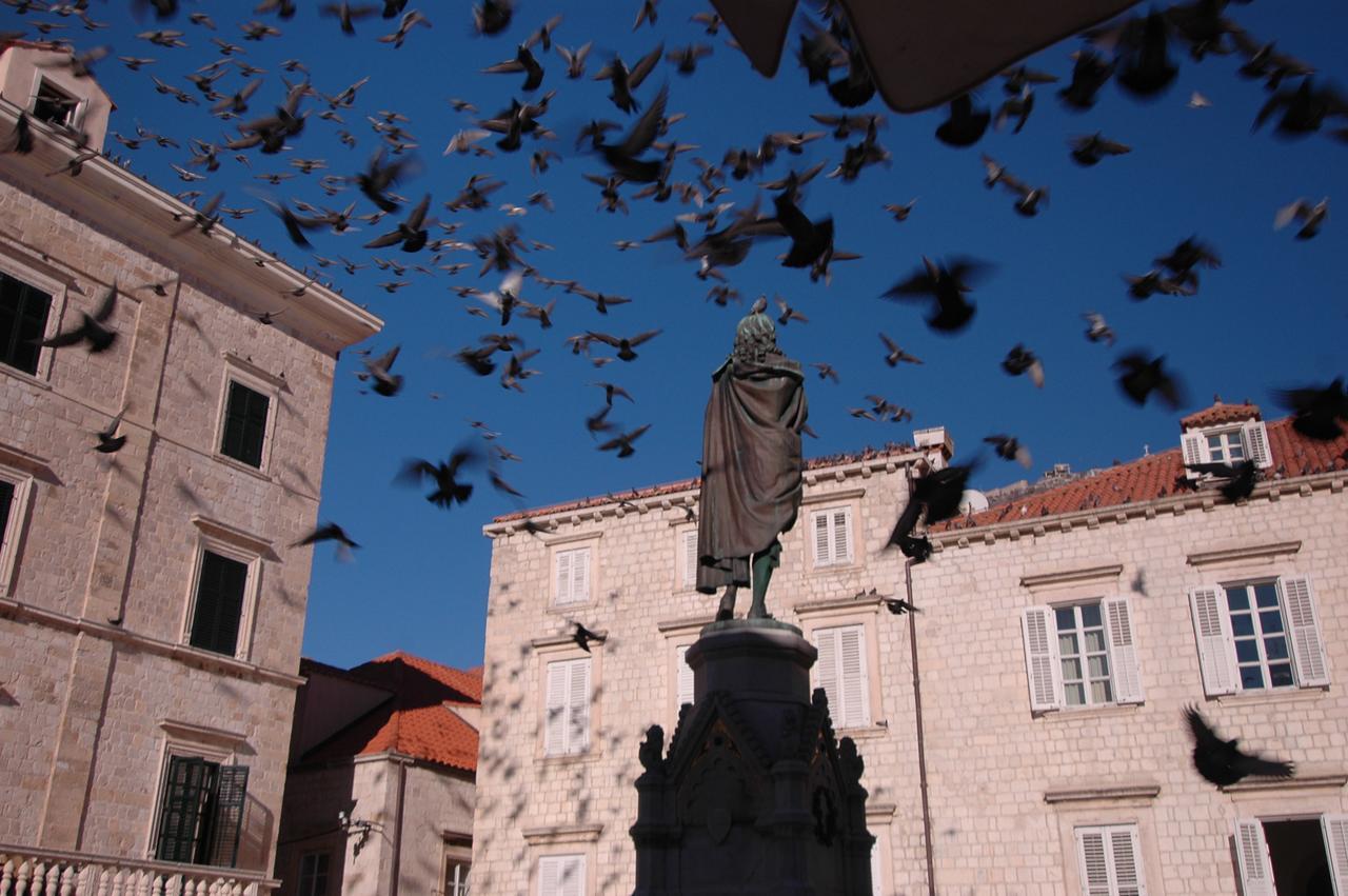 Villa Sigurata Dubrovnik Buitenkant foto